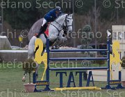 Garcia Blue Boy 2013- S5 7945 : Arezzo Equestrian Centre, Blue Boy, Garcia Juan Carlos, Toscana Tour 2013, foto di Stefano Secchi ©